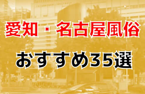 本番/NN/NS体験談！名古屋の風俗35店を全318店舗から厳選！【2023年】 | Trip-Partner[トリップパートナー]のサムネイル