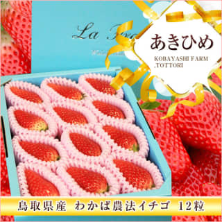 【楽天市場】【送料無料】鳥取県産 わかば農法いちご「あきひめ」デラックス フルーツキャップ詰 12粒〈期間限定12月上旬〜5月中旬〉/苺/イチゴ/高級/化粧箱/個包装/母の日ギフトおすすめ 【代引き不可】/お取り寄せ/通販/お土産/ギフト/退職祝い/卒業祝い/：わが街とくさん店のサムネイル