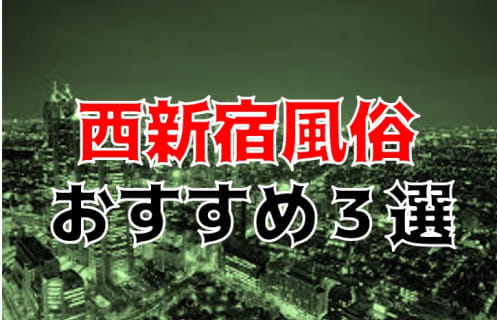 本番/NN/NSも？西新宿の風俗3店を全418店舗から厳選！【2023年】 | Trip-Partner[トリップパートナー]のサムネイル