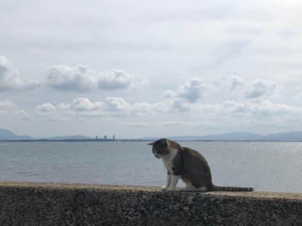 福岡・7つの島の魅力をご紹介！博多駅から1時間で行ける世界遺産の離島も！ | Trip-Partner[トリップパートナー]のサムネイル