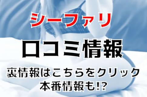 【体験談】渋谷のファッションヘルス”シーファリ”Nちゃんの上下に揺れるパイズリでフィニッシュ！料金・口コミを公開！ | Trip-Partner[トリップパートナー]のサムネイル