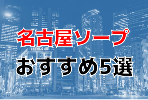 本番/NN/NS体験談！名古屋のソープ5店を全15店舗から厳選！【2024年おすすめ】 | Trip-Partner[トリップパートナー]のサムネイル