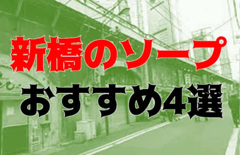 本番/NN/NS体験談！新橋のソープ4店を全118店舗から厳選！【2024年おすすめ】 | Trip-Partner[トリップパートナー]のサムネイル