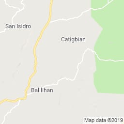 Google Mapsのサムネイル