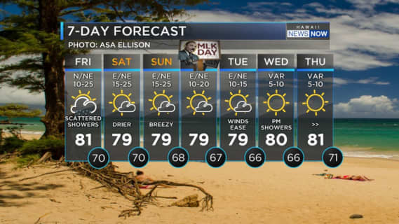 Forecast: Cold front passing over the state, drier conditions this weekendのサムネイル
