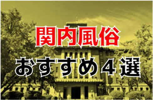 本番/NN/NSも？関内・曙町の風俗4店を全207店舗から厳選！【2025年】 | Trip-Partner[トリップパートナー]のサムネイル