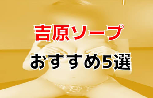 本番/NN/NSも？吉原のおすすめソープ5店を全130店舗から厳選！【2024年】 | Trip-Partner[トリップパートナー]のサムネイル