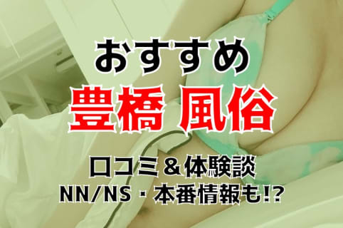 【2026年】愛知・豊橋の風俗8店を全50店舗から厳選！【本番/NN/NS体験談】 | Trip-Partner[トリップパートナー]のサムネイル