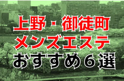 本番体験談！上野・御徒町のメンズエステ6店を全43店舗から厳選！【2023年】 | Trip-Partner[トリップパートナー]のサムネイル