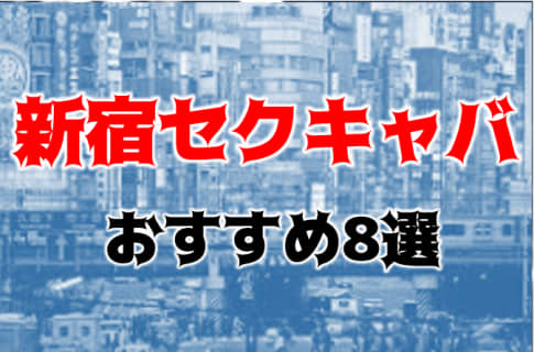 本番体験談！東京・新宿のセクキャバ8店を全32店舗から厳選！【2023年】 | Trip-Partner[トリップパートナー]のサムネイル