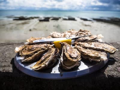 【性の達人が解説】牡蠣を食べると性欲が増すってホント!?精液増進の秘密を徹底解析！のサムネイル