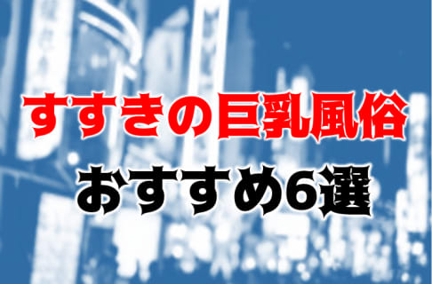 NN/NS可能？すすきのの巨乳ソープ6店を全27店舗から厳選！【2024年】 | Trip-Partner[トリップパートナー]のサムネイル