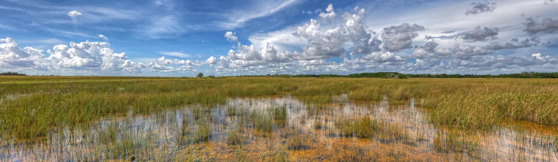 Everglades National Park (U.S. National Park Service)のサムネイル