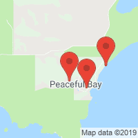 Google Mapのサムネイル