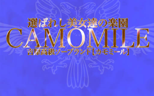 【NN/NS情報】東京・吉原のソープランド”カモミール”の潜入体験談！口コミと総額・おすすめ嬢を紹介！ | enjoy-night[エンジョイナイト]のサムネイル