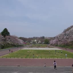 こどもの国のサムネイル