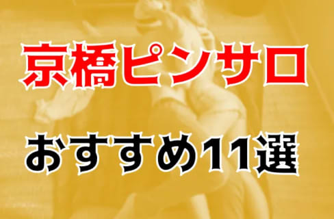 本番体験談！京橋のピンサロ11店を全20店舗から厳選！【2024年おすすめ】 | Trip-Partner[トリップパートナー]のサムネイル