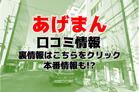 【体験談】大阪のホテヘル"あげまん西中島南方"はリアル人妻だけ？料金や口コミを徹底公開！ | Trip-Partner[トリップパートナー]のサムネイル