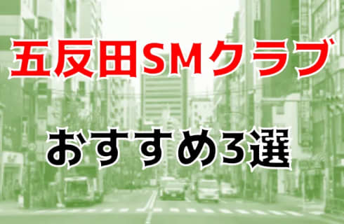 五反田のおすすめSMクラブ3店を全8店舗から厳選！ | Trip-Partner[トリップパートナー]のサムネイル