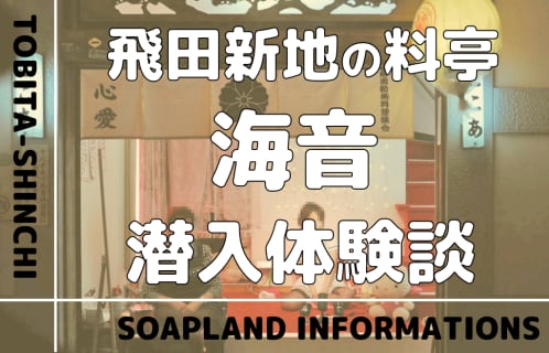 飛田新地の料亭”海音”の潜入体験談！NN/NS情報・料金・遊び方を紹介！【2026年】 | enjoy-night[エンジョイナイト]のサムネイル