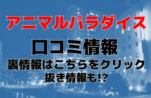 【体験談】五反田のピンサロ"アニマルパラダイス"スイカップNちゃんで抜けた！料金・おすすめ嬢や口コミを徹底公開！ | Trip-Partner[トリップパートナー]のサムネイル