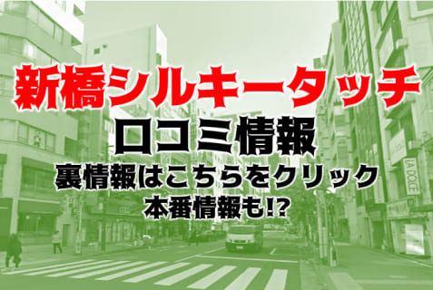 【裏情報】デリヘル”新橋シルキータッチ”は乳首愛撫専門！料金・口コミを公開！ | Trip-Partner[トリップパートナー]のサムネイル