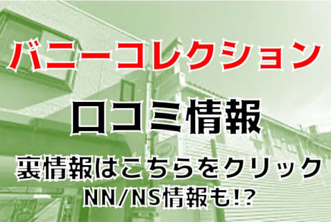 【体験談】秋田のソープ”バニーコレクション”でNS/NNは可能？料金システム・口コミを徹底公開！ | Trip-Partner[トリップパートナー]のサムネイル