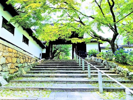 京都の神社仏閣と御朱印25選を徹底解説！心に沁みるメッセージを頂きましょう。のサムネイル