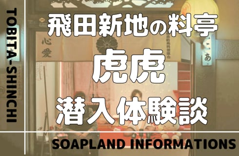 飛田新地の料亭”虎虎”の潜入体験談！NN/NS情報・料金・遊び方を紹介！【2026年】 | enjoy-night[エンジョイナイト]のサムネイル