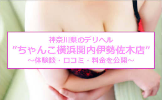 【裏情報】デリヘル"ちゃんこ横浜関内伊勢佐木店"はぽっちゃりグラマー！料金・口コミを公開！ | Trip-Partner[トリップパートナー]のサムネイル