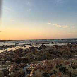 Google Mapのサムネイル