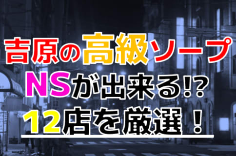 【2026年本番情報】吉原で実際に遊んだ高級ソープ12選！本当にNS・NNが出来るのか体当たり調査！ | otona-asobiba[オトナのアソビ場]のサムネイル