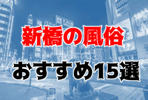 本番/NN/NS体験談！新橋・銀座の風俗15店を全413店舗から厳選！【2023年】 | Trip-Partner[トリップパートナー]のサムネイル