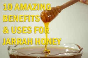 Jarrah Honey WA - Antibacterial and Antimicrobial - Jarrah Honey Information Western Australiaのサムネイル