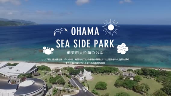 奄美市大浜海浜公園 | OHAMA SEA SIDE PARK 公式サイトのサムネイル