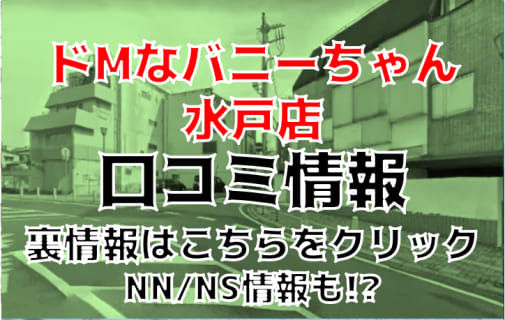 【体験レポ】ソープ”ドMなバニーちゃん水戸店"Aちゃんを犯しまくった！NS/NNはあり？料金・口コミを徹底公開！ | Trip-Partner[トリップパートナー]のサムネイル