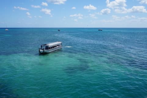 旅ブロガー厳選！ケアンズでおすすめの観光地4選！【観光にあたっての注意点も紹介】のサムネイル