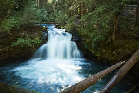 2019年 Whitehorse Fallsへ行く前に！見どころをチェック - トリップアドバイザーのサムネイル