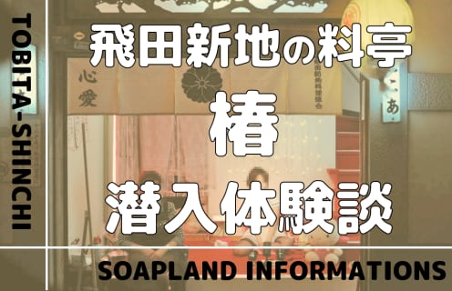 飛田新地の料亭”椿”の潜入体験談！NN/NS情報・料金・遊び方を紹介！【2024年】 | enjoy-night[エンジョイナイト]のサムネイル