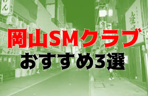 岡山のおすすめSMクラブ3店を全15店舗から厳選！ | Trip-Partner[トリップパートナー]のサムネイル
