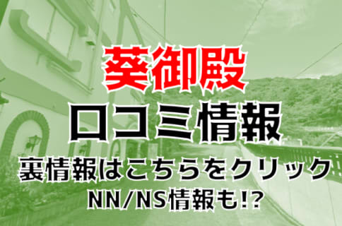 NS/NNあり？武雄温泉の極上ソープ"葵御殿"はNSNN可能？料金・口コミを公開！ | Trip-Partner[トリップパートナー]のサムネイル