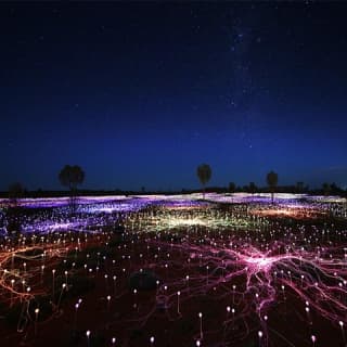 Field of Light Uluruのサムネイル