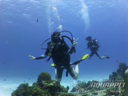 コスメル島体験ダイブ(日本人ガイド)のサムネイル