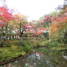 圓光寺のサムネイル