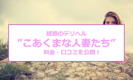 【裏情報】デリヘル”こあくまな人妻たち姫路店"は淫乱人妻に無制限発射！料金・口コミを公開！のサムネイル