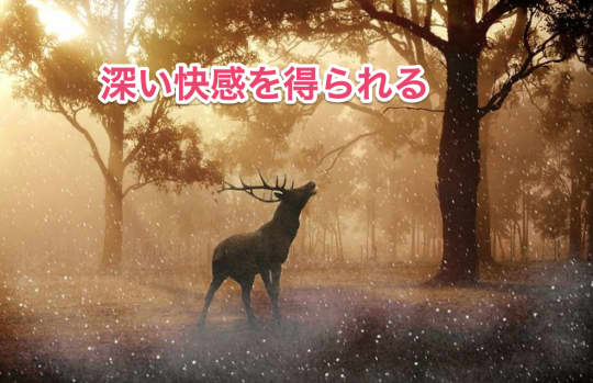 セフレ中出し快感
