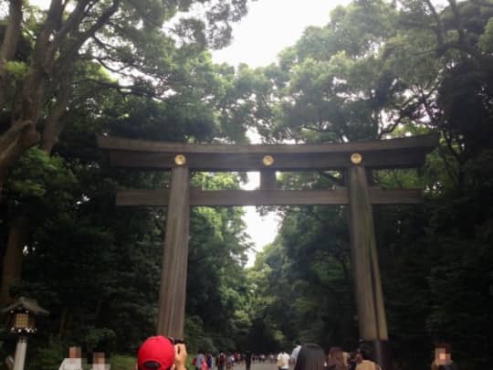 明治神宮　南参道の鳥居