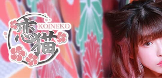 恋猫