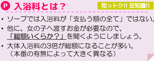 入浴料とは