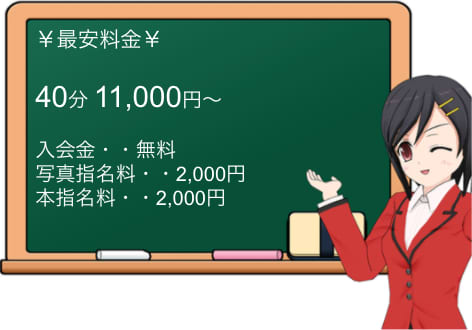 人妻日記の料金表